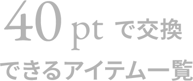 40ptで交換できるアイテム一覧